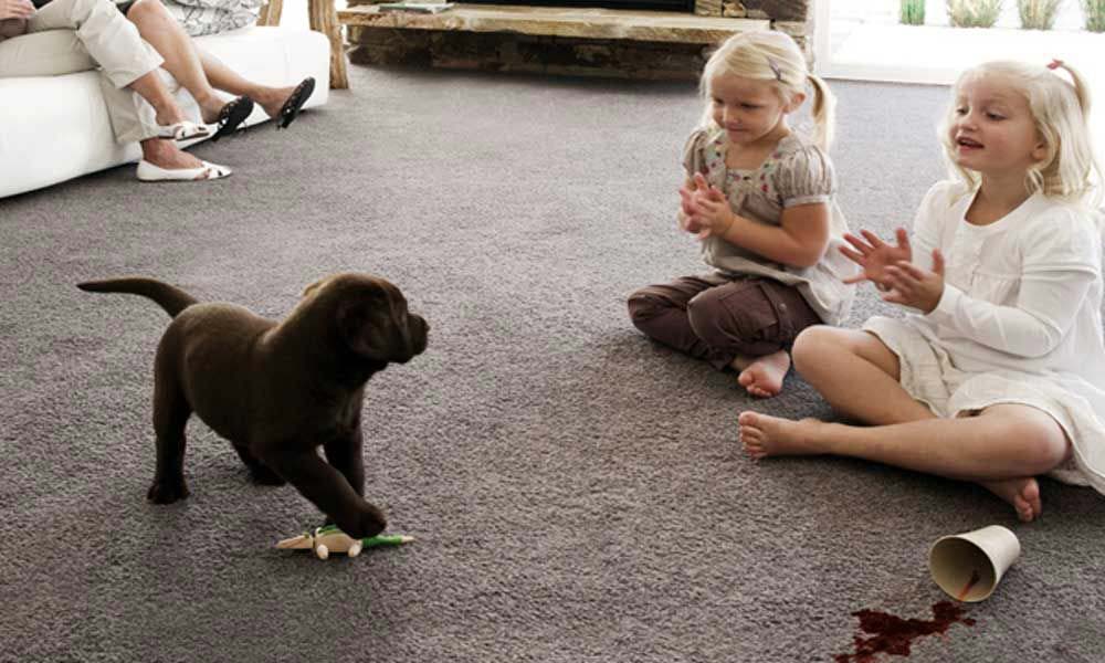 kids playing with dog on carpet